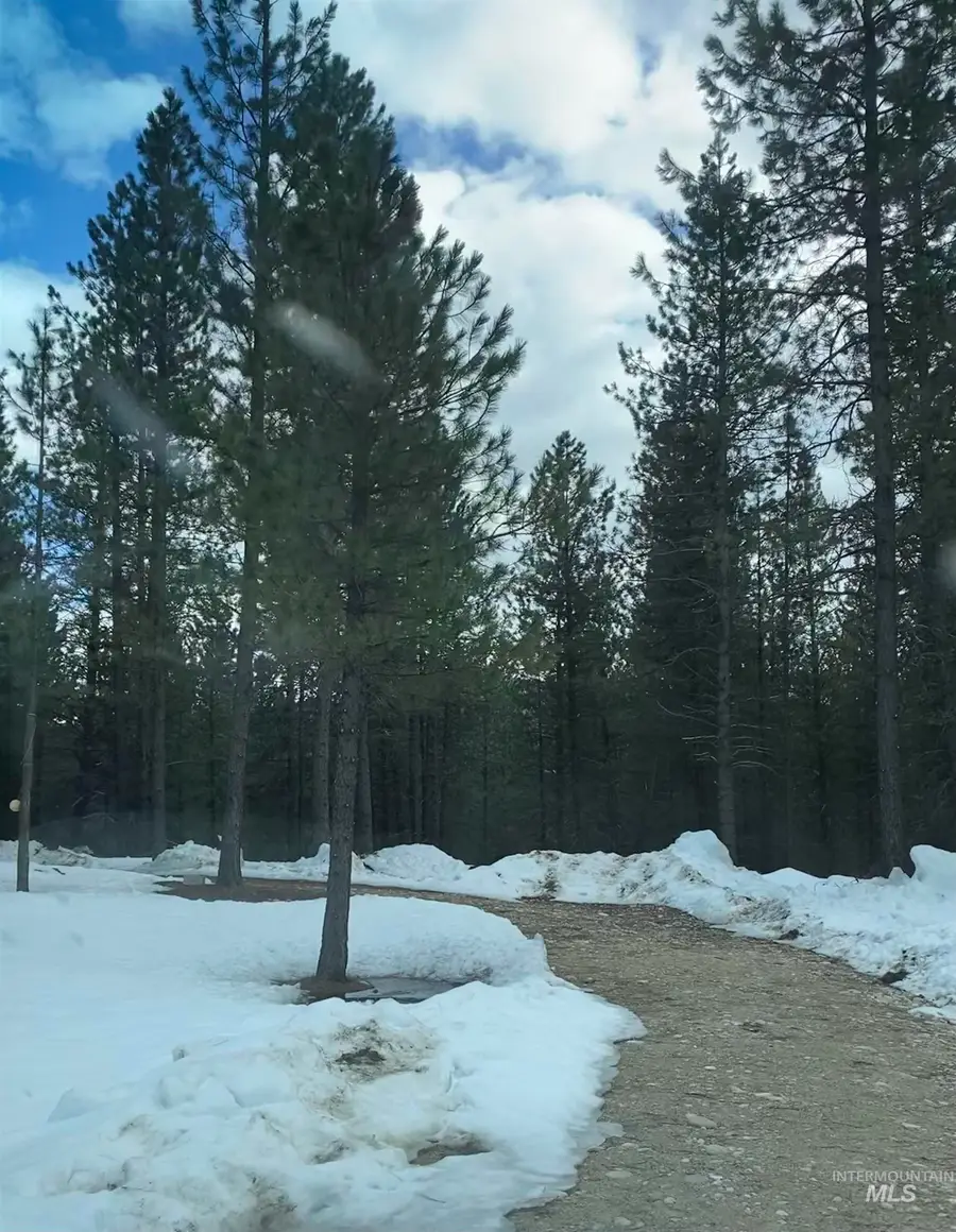 12 Woods Ln, Idaho City, ID 83631 - #3