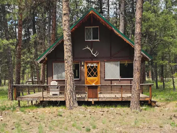 4 Jolene Dr, Lowman, ID 83637