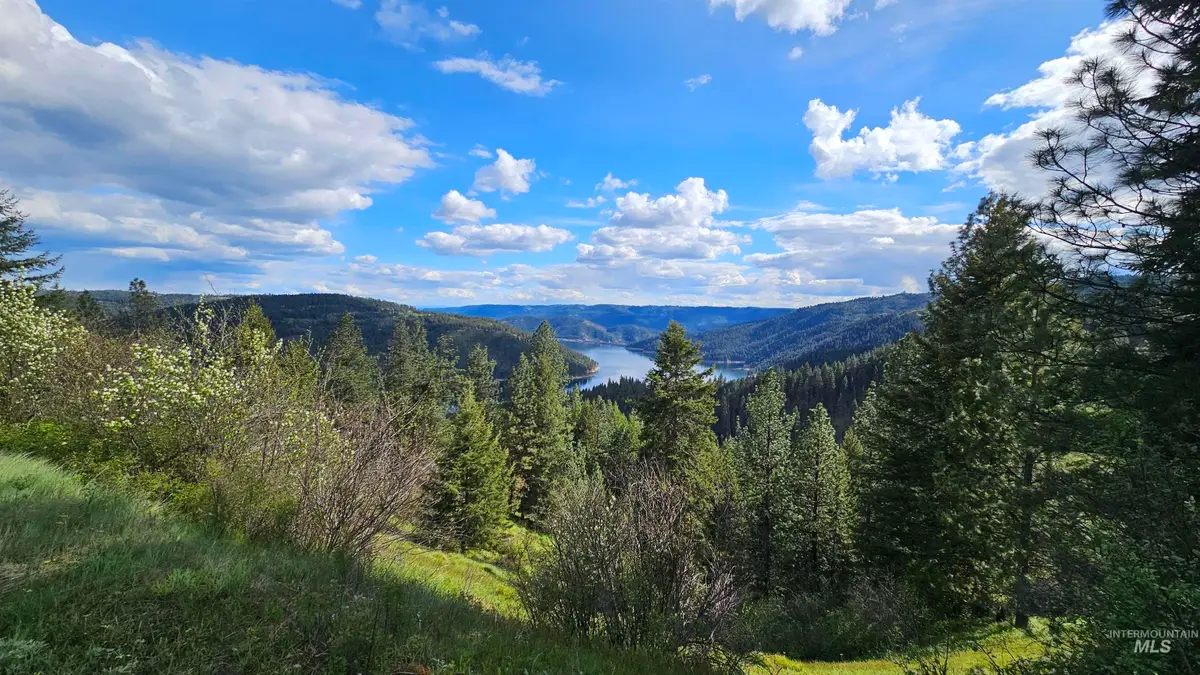 TBD Lynx Lane, Lenore, ID 83541 - #1