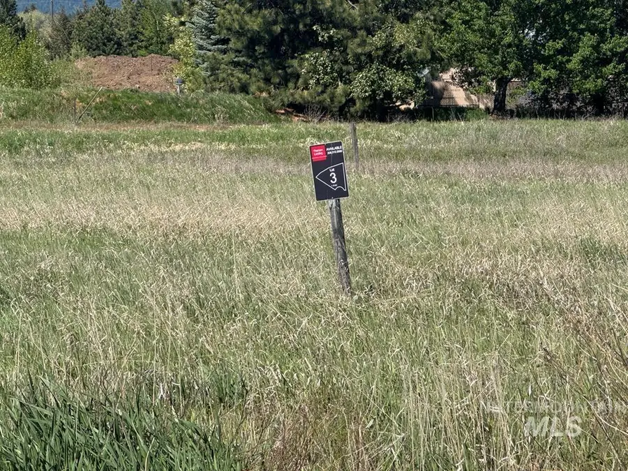 14063 Mulberry St, McCall, ID 83638 - #3