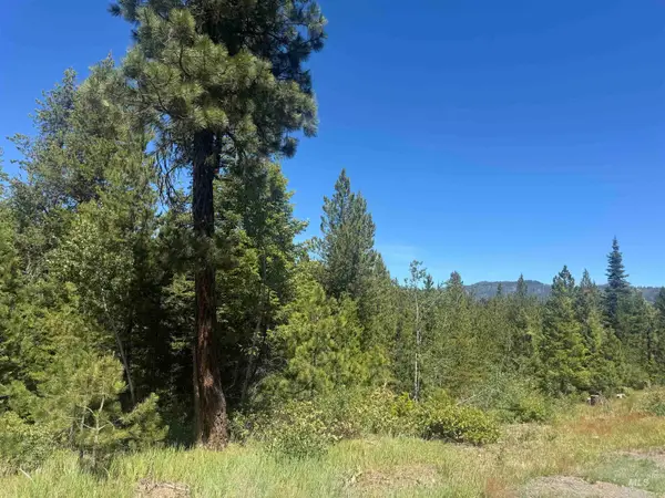 TBD Saddle Rock Dr, Cascade, ID 83611