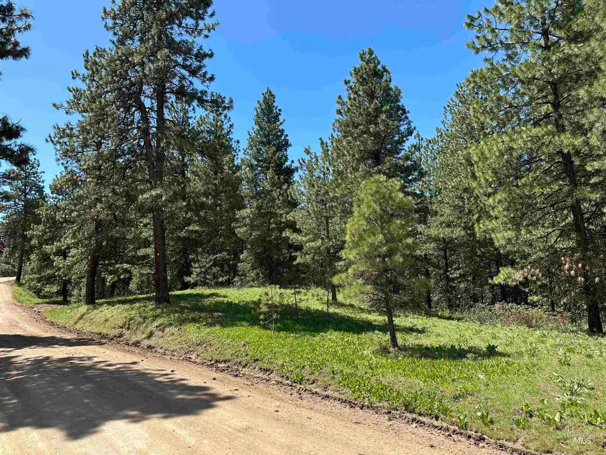 TBD Cruickshank Rd, Banks, ID 83602 - #1