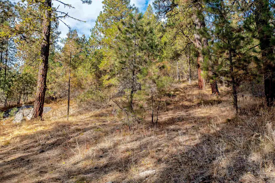 TBD White Mesa, Banks, ID 83602 - #3