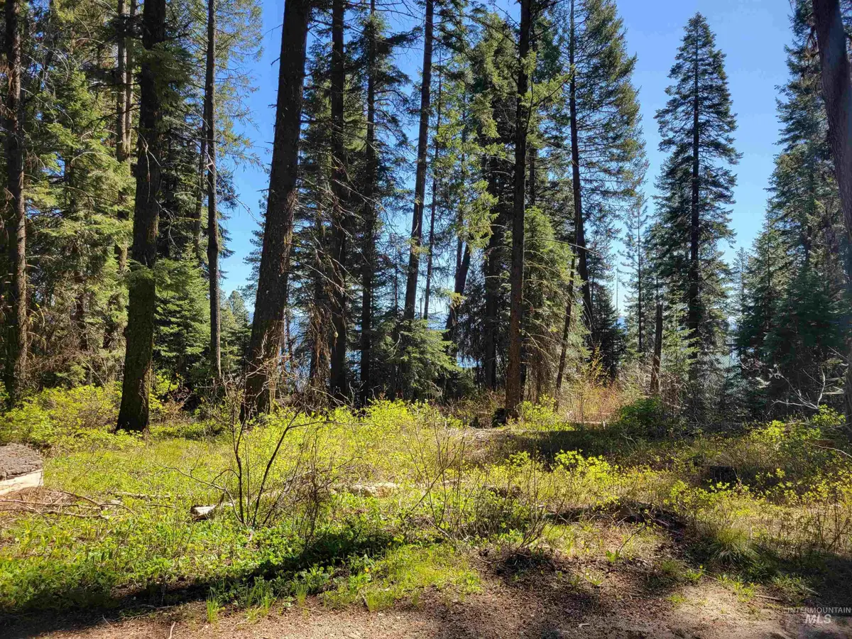 22 Melody Lane, Cascade, ID 83611 - #1