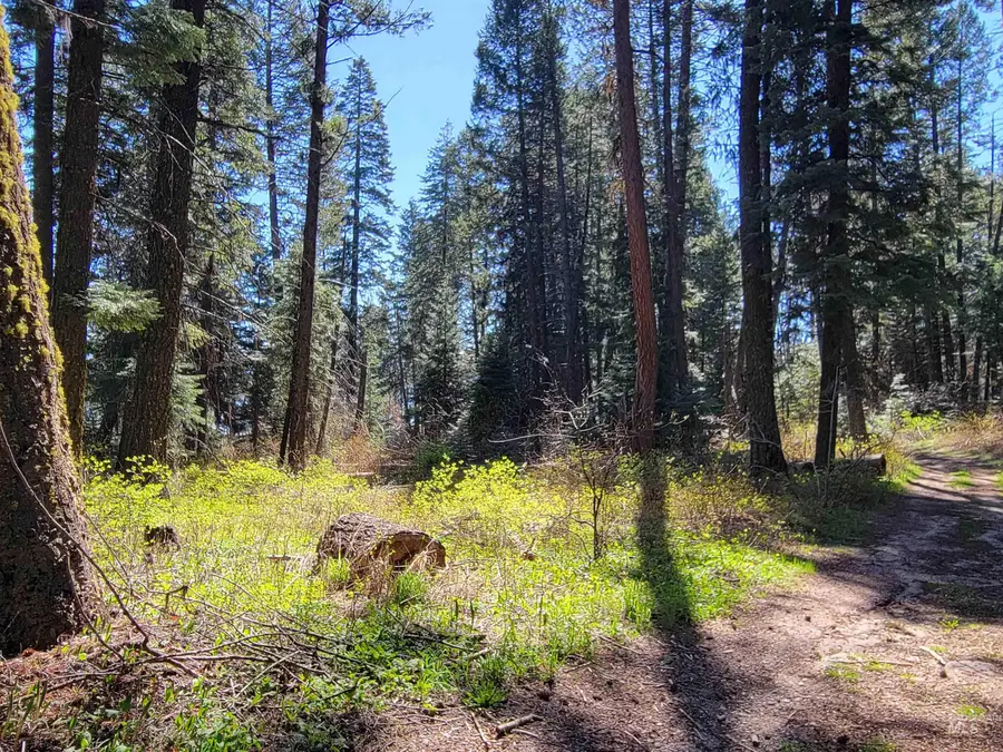 22 Melody Lane, Cascade, ID 83611 - #2