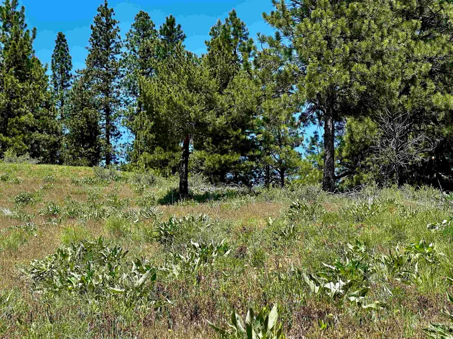 TBD Aspen Ridge Rd, Boise, ID 83716 - #2