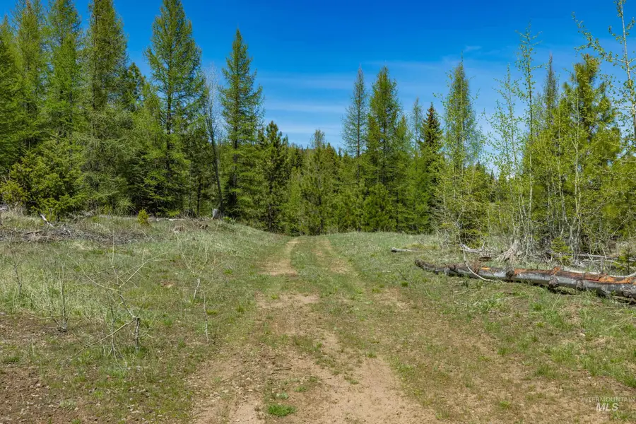 Lot #1 Old Council Rd, McCall, ID 83638 - #2