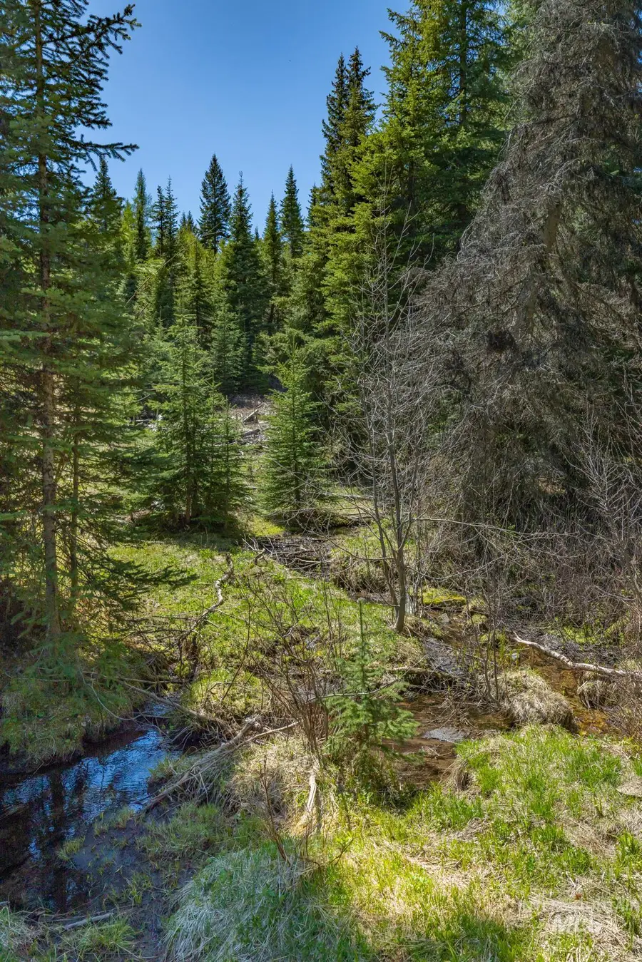 Lot #1 Old Council Rd, McCall, ID 83638 - #3