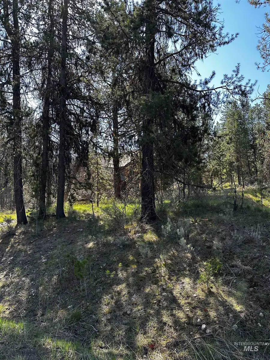 237 Moonridge Dr, McCall, ID 83638 - #3