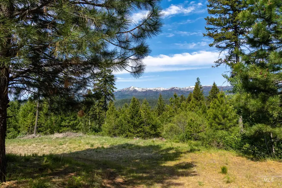 Lot 14 Block 3 Carol Court, Cascade, ID 83611 - #3