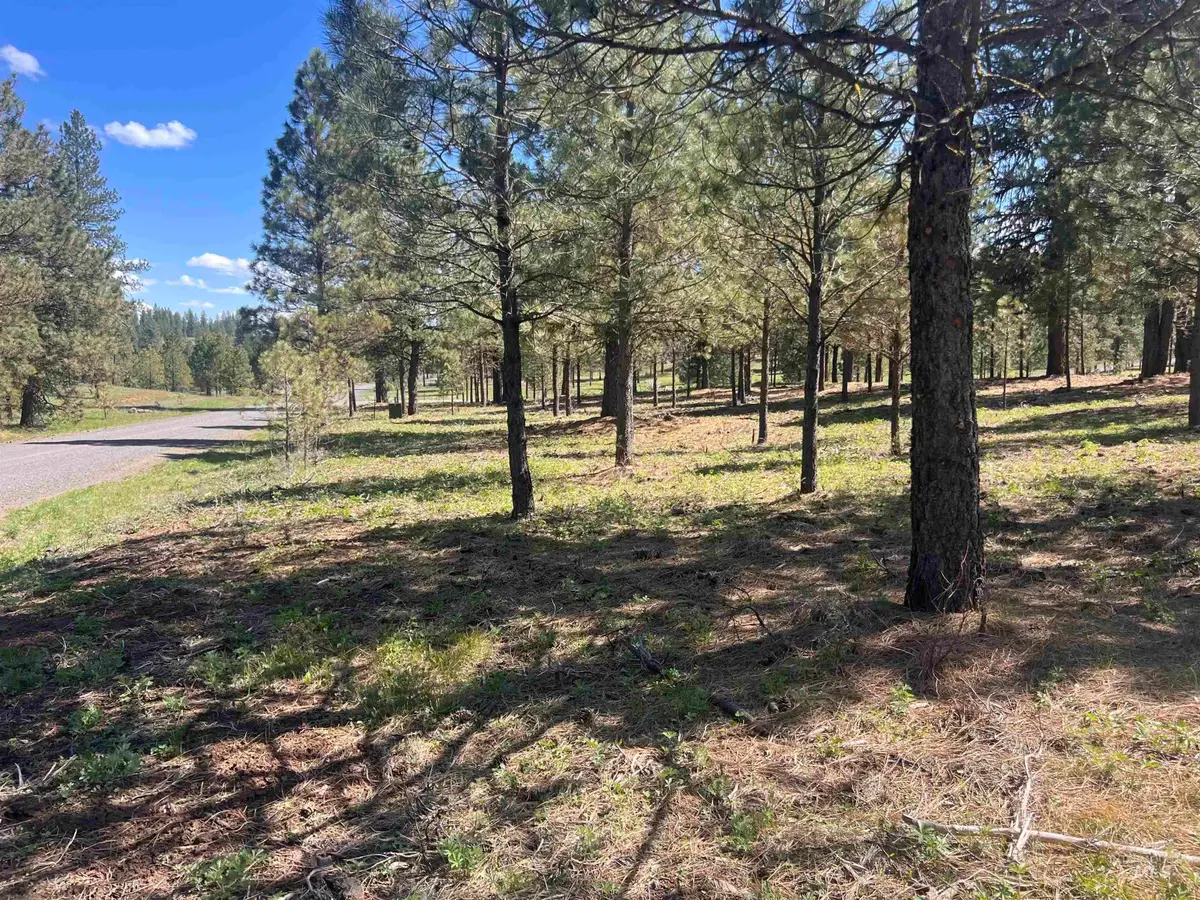 Lot 44 Old Hwy 95, New Meadows, ID 83654 - #1