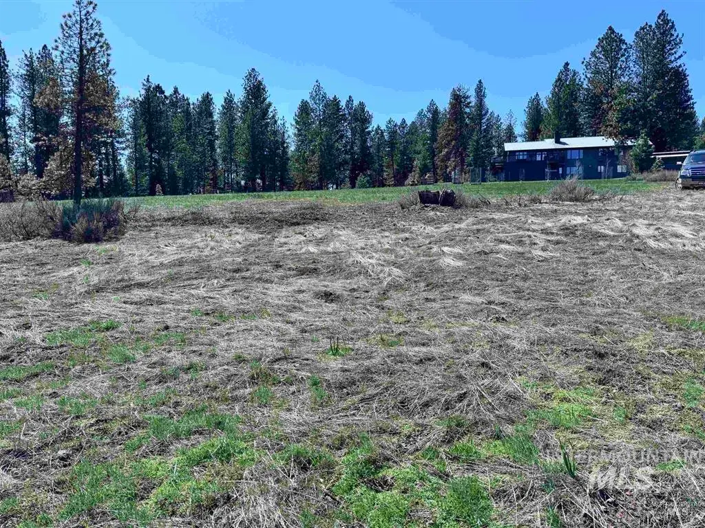 Lot 19 Hot Springs Rd, New Meadows, ID 83654 - #1