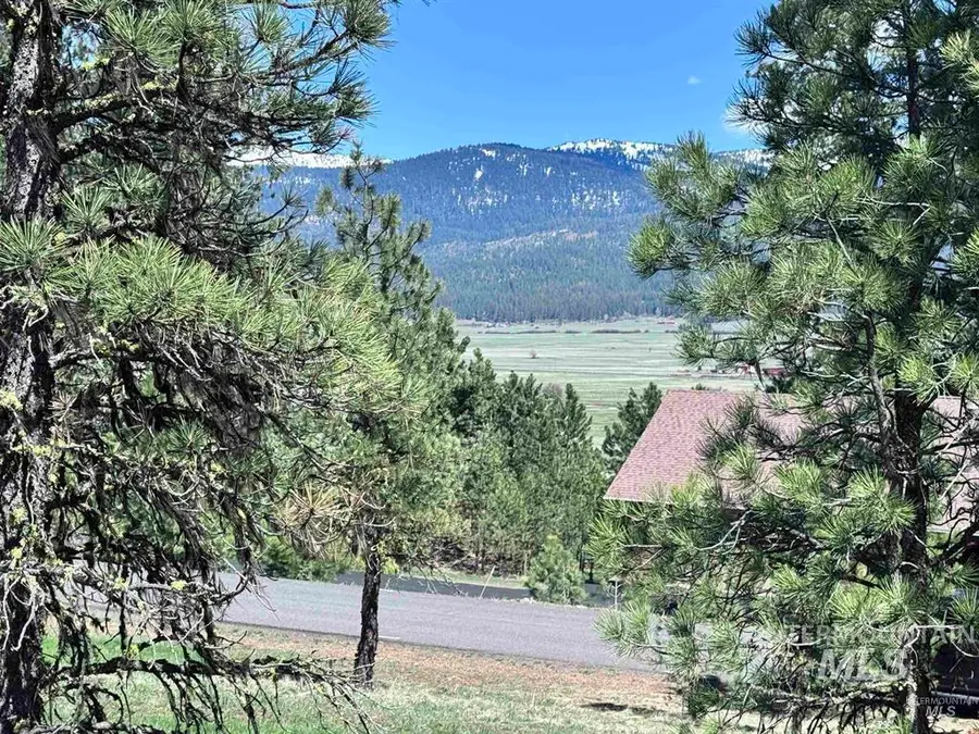 Lot 19 Hot Springs Rd, New Meadows, ID 83654 - #3