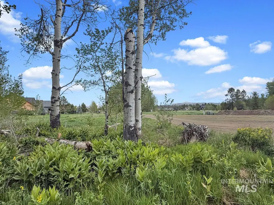 172 Heath Place, Donnelly, ID 83615 - #3