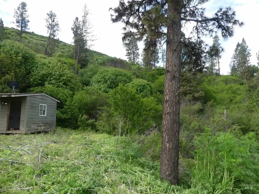 30100 Triumph, Culdesac, ID 83524 - #2