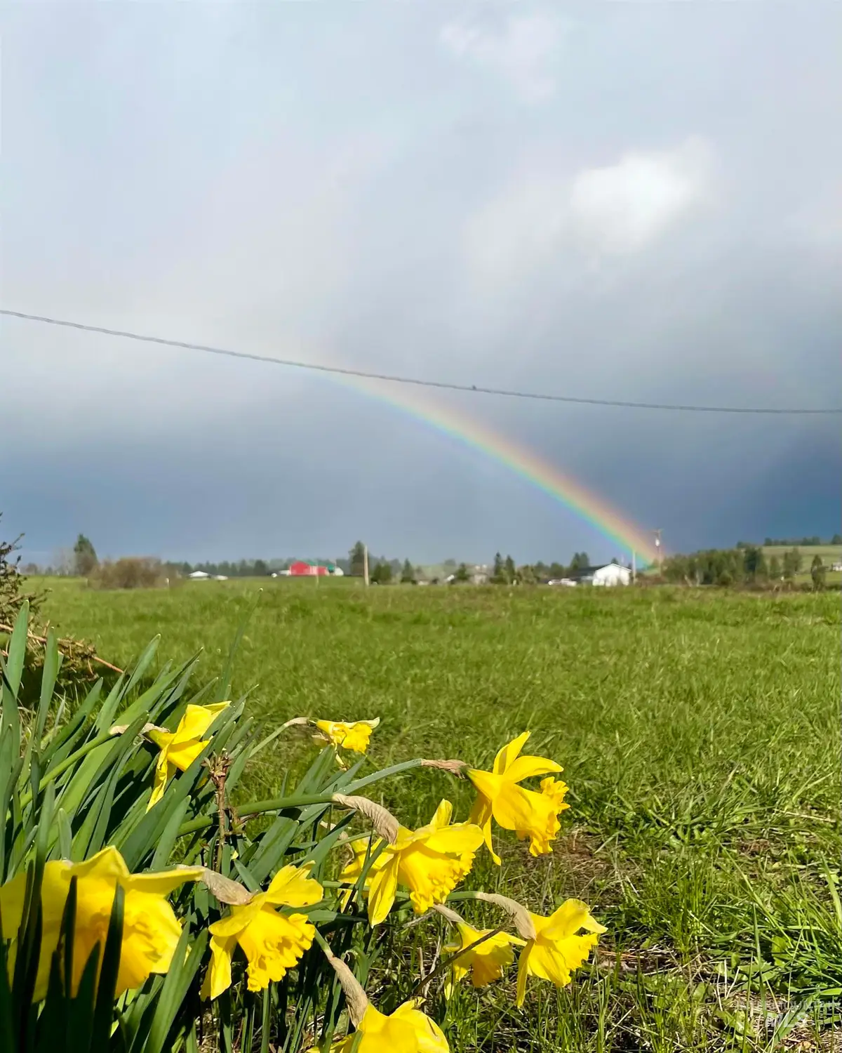 637 Leitch Creek Rd #(+ 5AC Touch of Country Estates), Kooskia, ID 83539 - #1