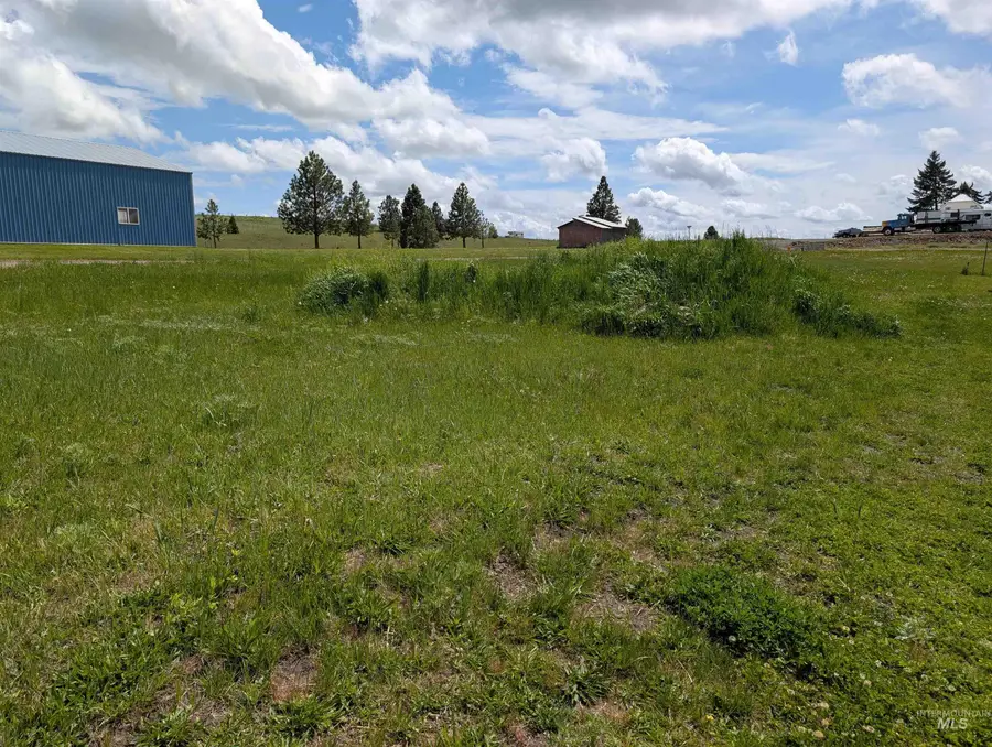 Lot 1 and 2 Foster Ave, Cottonwood, ID 83522 - #2