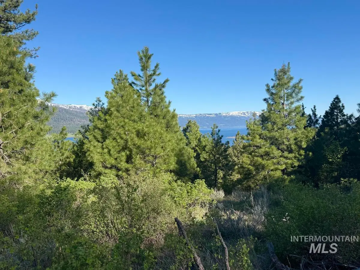 422 Collier View Road, Cascade, ID 83611 - #1