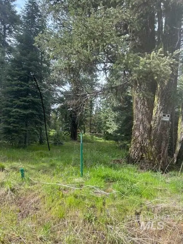 2195 Davy Road, Donnelly, ID 83615 - #1