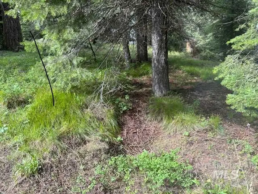 2195 Davy Road, Donnelly, ID 83615 - #2