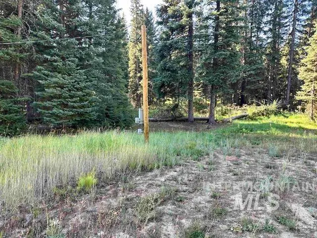 2195 Davy Road, Donnelly, ID 83615 - #3