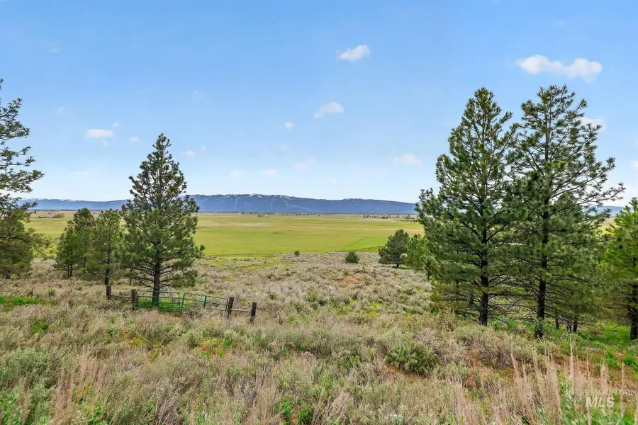 13301 Finlandia, McCall, ID 83638 - #2