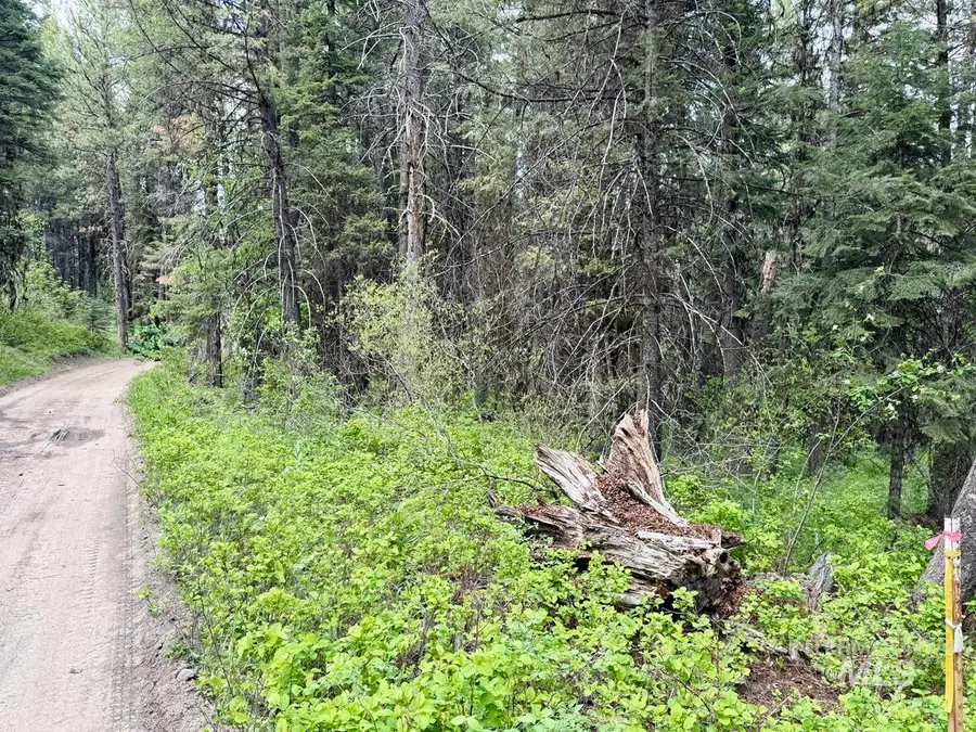 518 Susan Road, Cascade, ID 83611 - #3