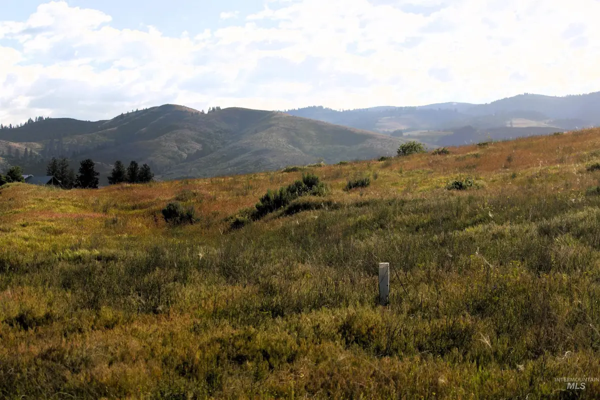 TBD Trail Lane, Council, ID 83612 - #1