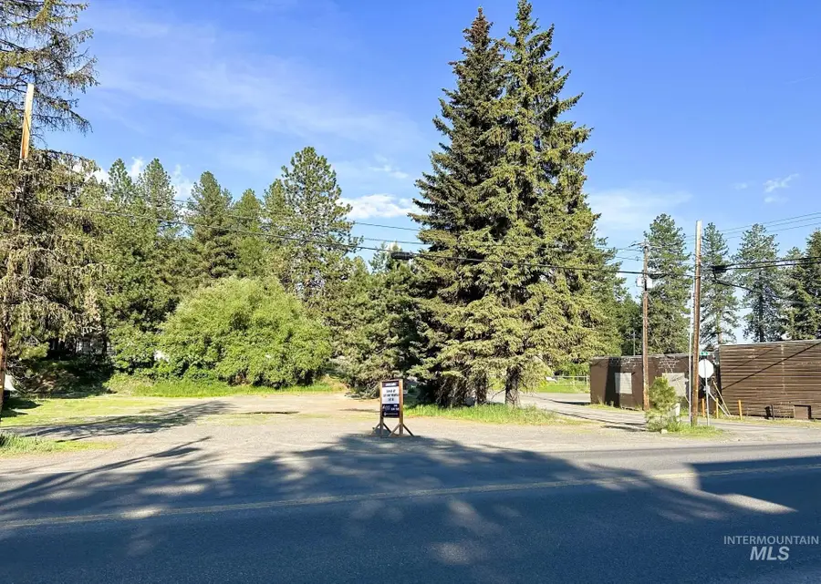 301 N 3rd Street, McCall, ID 83638 - #3