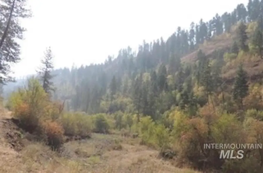 180,152,204 Rabbit Creek Road, Stites, ID 83552 - #3