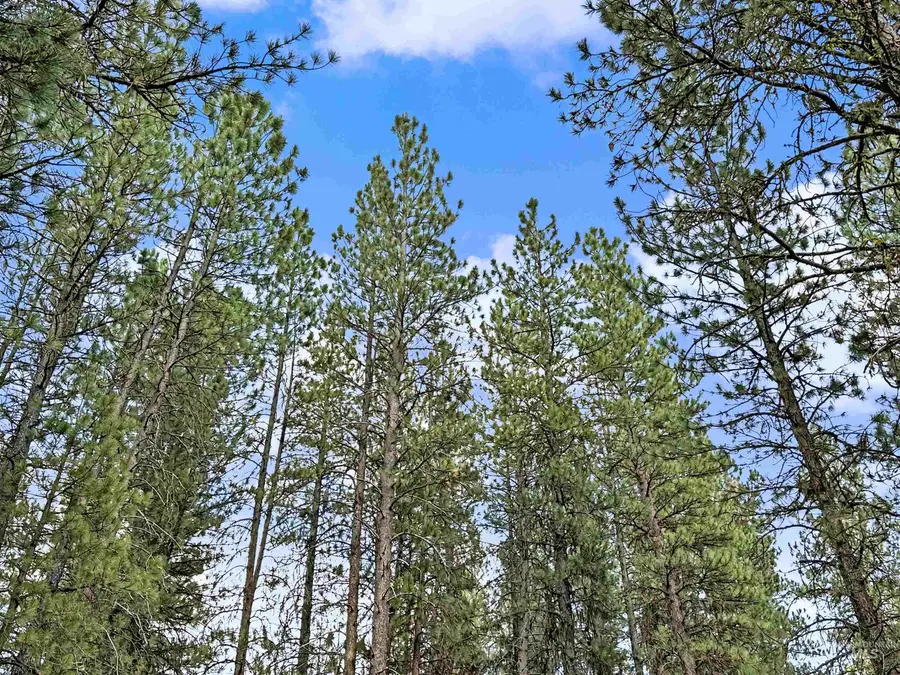 5 Fairchild Way, Idaho City, ID 83631 - #2