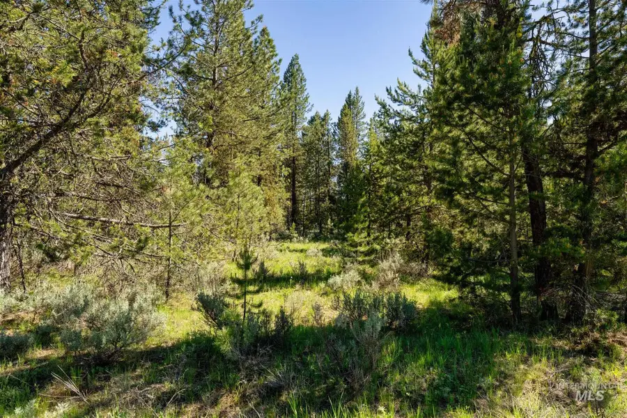 110 Fawnlilly, McCall, ID 83638 - #2
