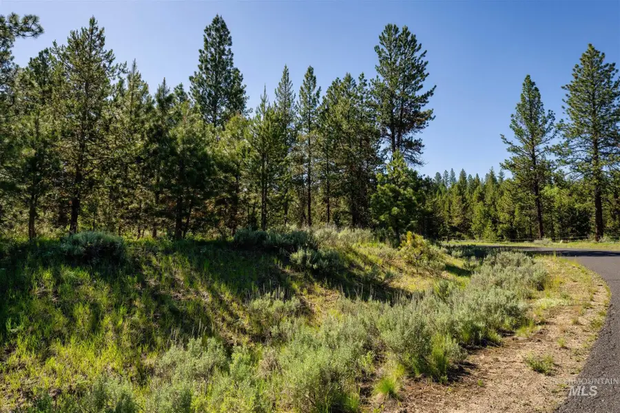 110 Fawnlilly, McCall, ID 83638 - #3