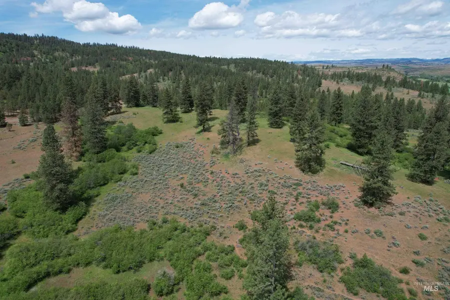Lot 1 Elk Crossing, Council, ID 83612 - #3