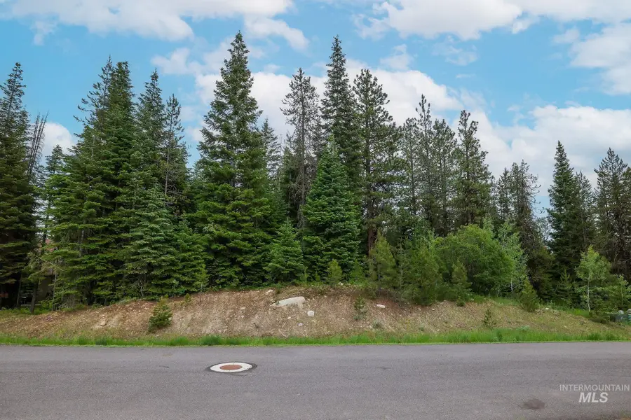 431 Timbercrest Loop, McCall, ID 83638 - #3