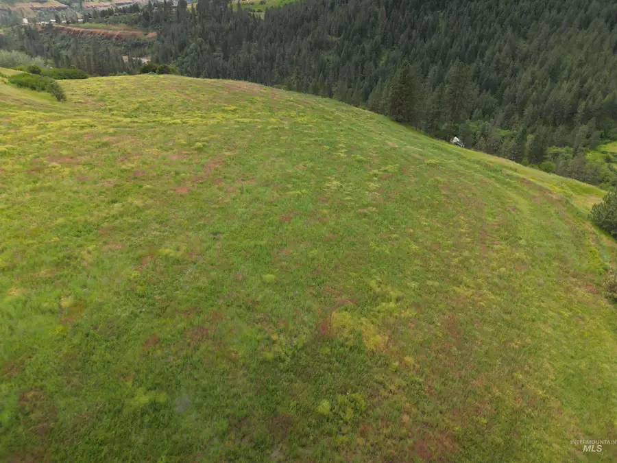 000 American Ridge Rd (parcel 6), Kendrick, ID 83537 - #3