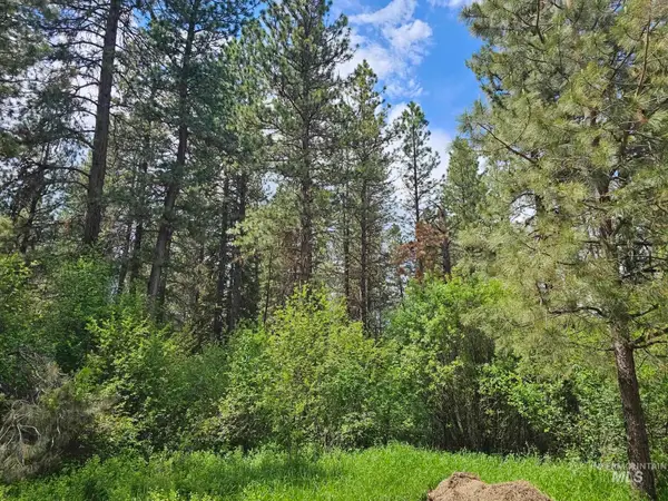 TBD Caseys Rd, Garden Valley, ID 83622