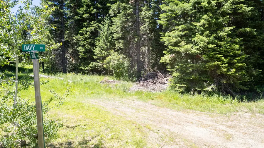 2207 Davy Rd, Donnelly, ID 83615 - #3