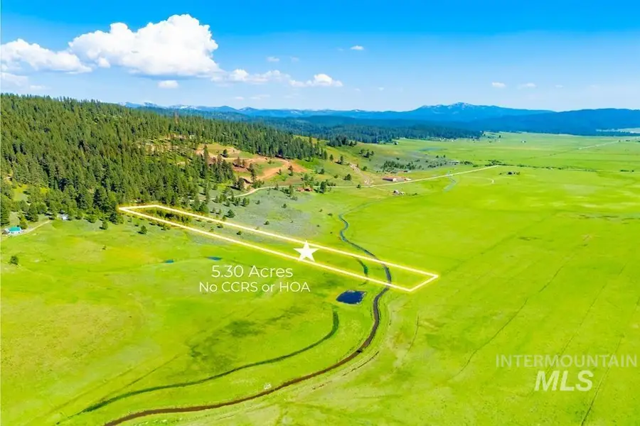 TAX LOT 6&7 Finlandia, McCall, ID 83638 - #2