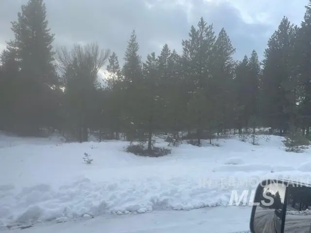 48 W Pine Add, New Meadows, ID 83654 - #2