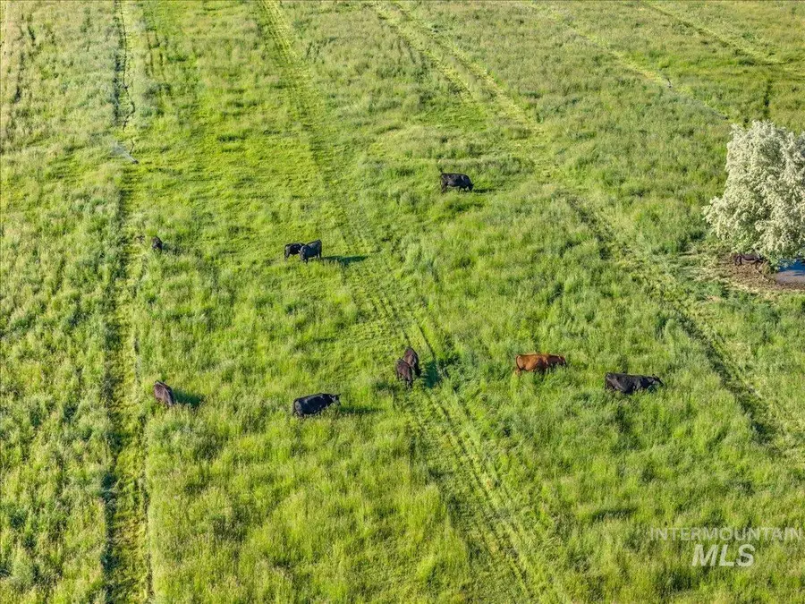 Parcel-1 Lower Pleasant Ridge Rd Wilder, Wilder, ID 83676 - #2