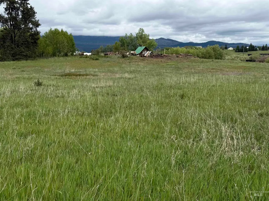 14031 Hwy 55, McCall, ID 83638 - #3