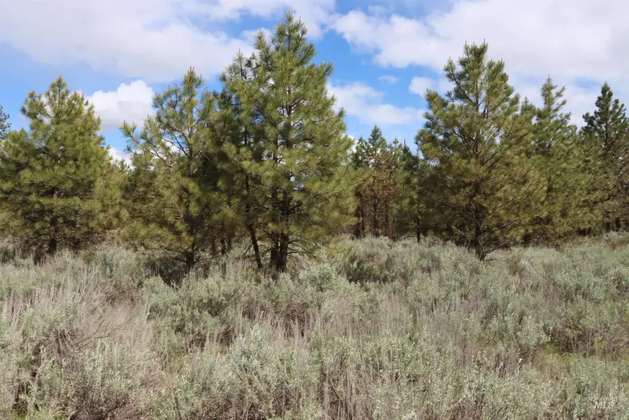 7 Bitterroot Ct, McCall, ID 83638 - #3