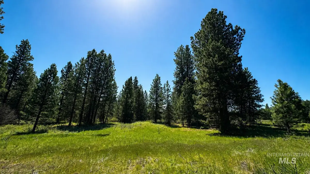 LOT 13 Nelsen Ave, Idaho City, ID 83631 - #1