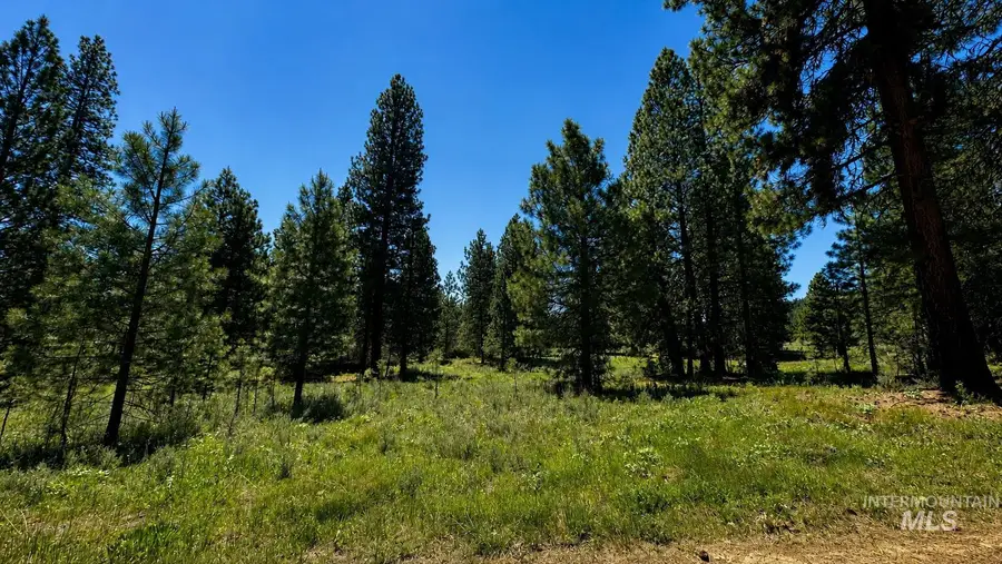 LOT 13 Nelsen Ave, Idaho City, ID 83631 - #3