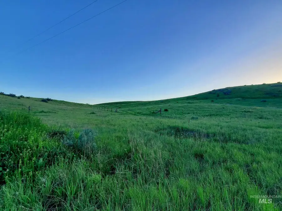 2216 Ben Ross, Indian Valley, ID 83632 - #3