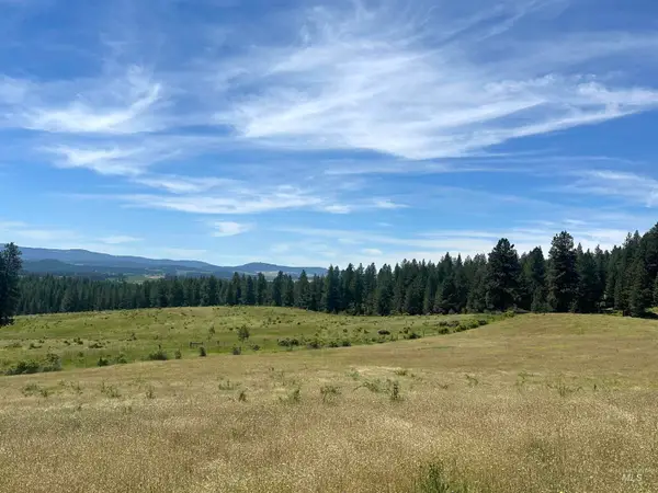 TBD 10 +/- AC Gold Hill, Princeton, ID 83857