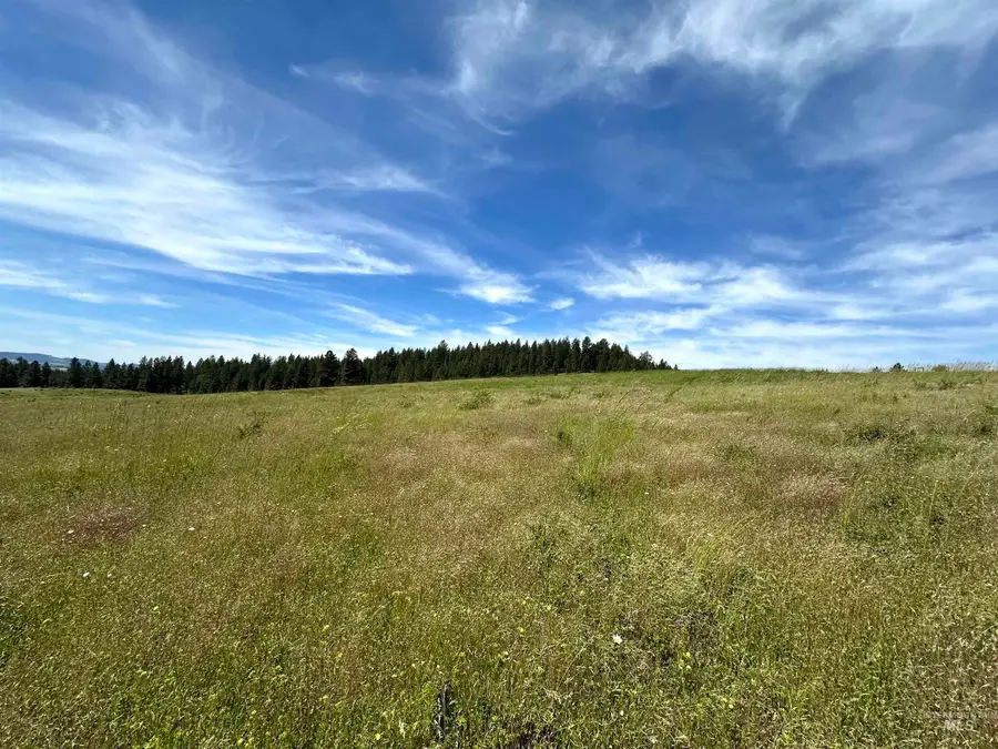 TBD 10 +/- AC Gold Hill, Princeton, ID 83857 - #2