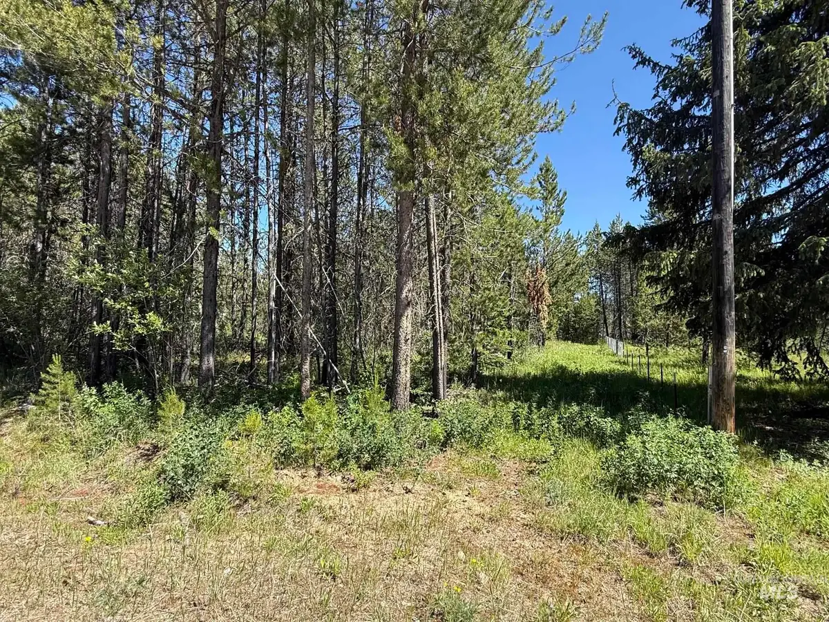 203 Angus Lane, Donnelly, ID 83615 - #1