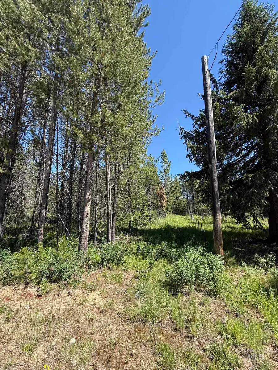 203 Angus Lane, Donnelly, ID 83615 - #2